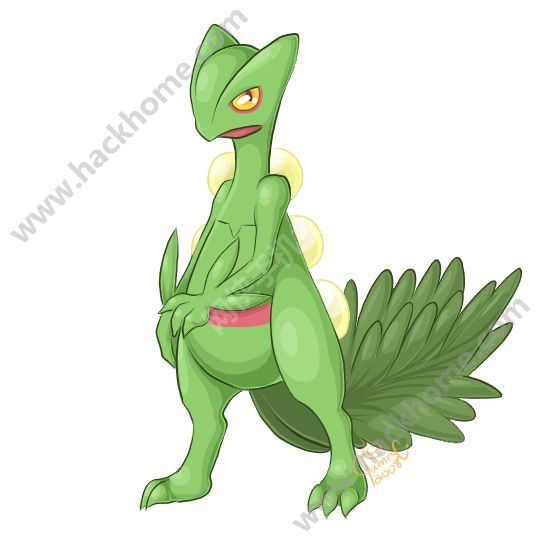 口袋妖怪重制蜥蜴王怎么得? 蜥蜴王培养价值分析