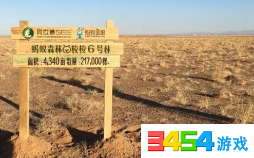支付宝名字蚂蚁种下的树刻上我的蚂蚁支付宝蚂蚁汤浇森林火撩马蜂图片