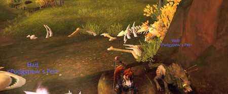 魔兽世界7.2猎人隐藏宠物芬雷尔怎么抓 隐藏宠