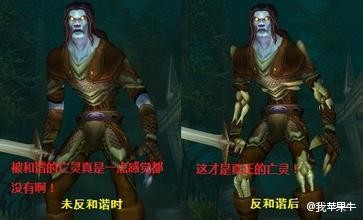 魔兽世界反和谐代码 无插件如何去掉面粉袋