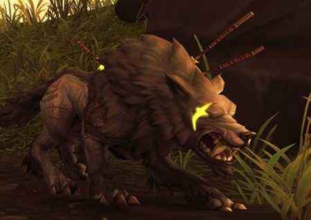 魔兽世界7.2猎人隐藏宠物芬雷尔怎么抓 隐藏宠