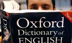 英语字典软件下载哪个好 英语字典软件大全