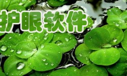 护眼软件排行榜 护眼软件哪个好